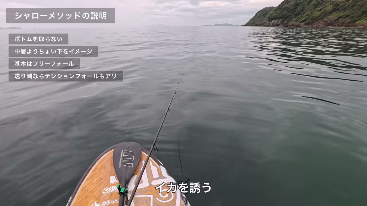 シャローメソッドでエギを誘っている場面