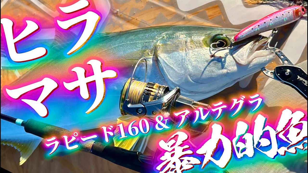 トップで狙う青物｜ラピードとアルテグラでヒラマサを釣る！サワラやブリも水面爆発