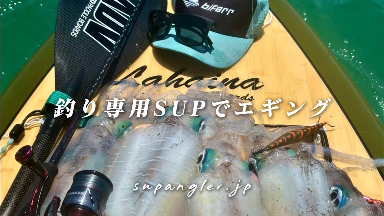 アオリイカの釣り方と釣り専用SUPの実践インプレ｜LAHAINA釣り名人でSUPエギング