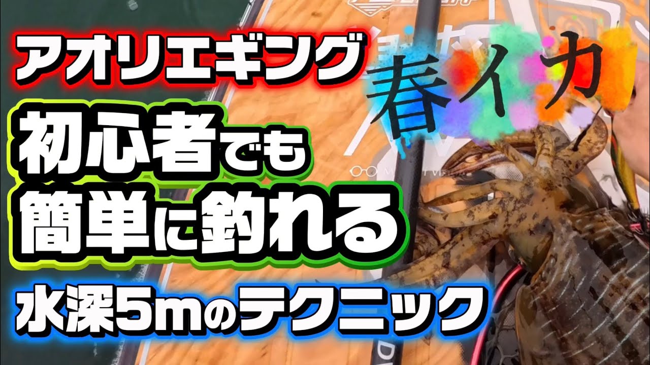 水深5mのエギング｜初心者でも簡単に春イカが釣れるシャローメソッド徹底解説
